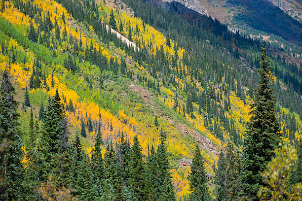 istock Colorado Fall Foliage Conundrum Hot Springs Trail 493700266