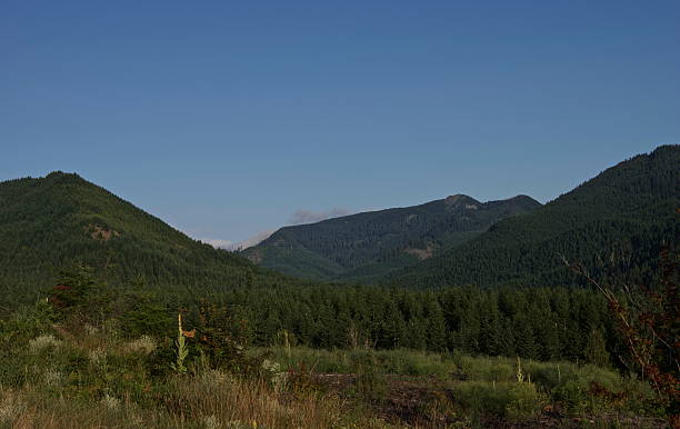 istock Mt. Hood National Forest 493704595
