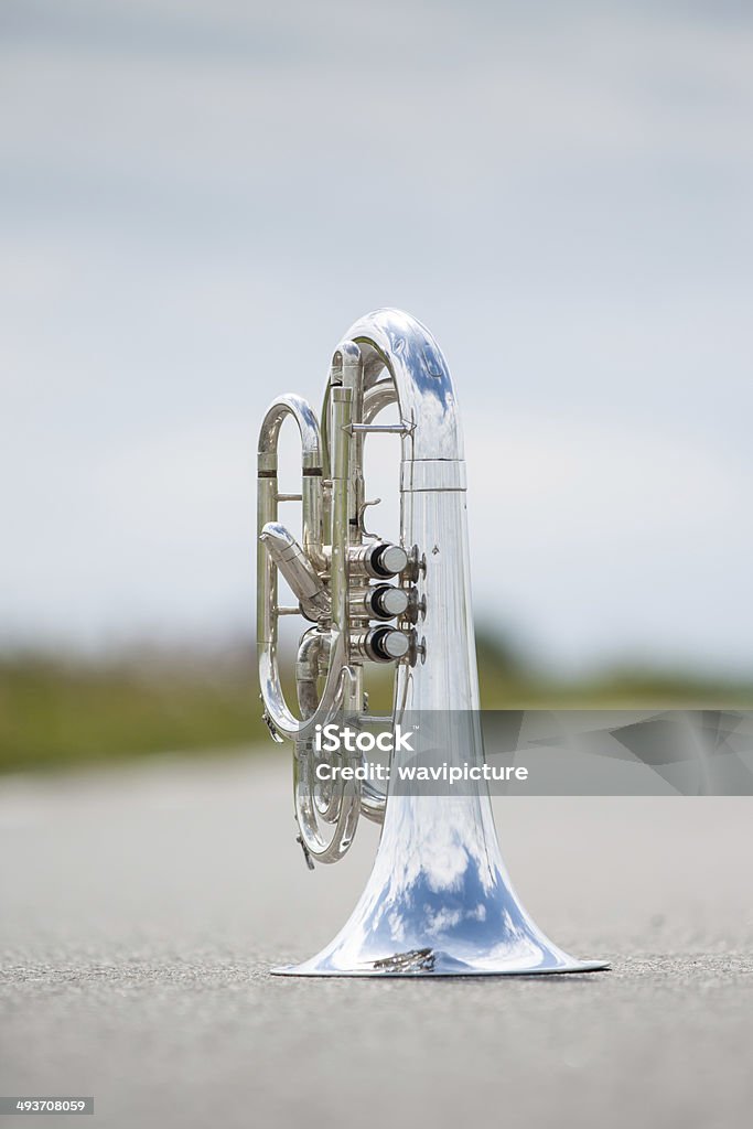 Portrait of a silver baritone Details from a showband, fanfare our drumband Adulation Stock Photo