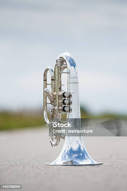 Portrait Of A Silver Baritone Stock Photo - Download Image Now - Adulation, Alloy, Arts Culture and Entertainment