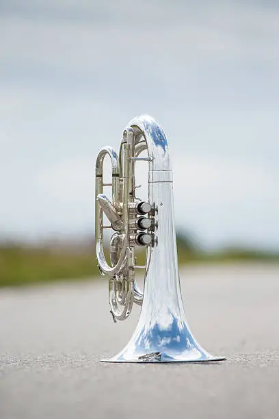 Photo of Portrait of a silver baritone