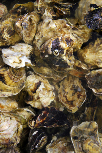 A large collection of oysters, partially submerged in water to be kept fresh, on sale at a seafood market. 