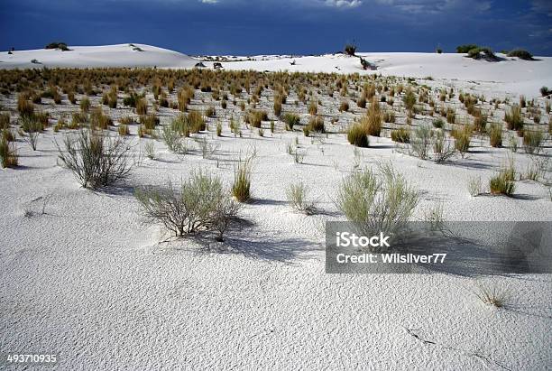 White Sands Landscape Stock Photo - Download Image Now - Barren, Beauty In Nature, Desert Area