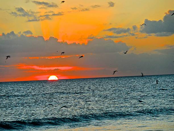 istock Sunset on tropical beach in Florida..... 493711286