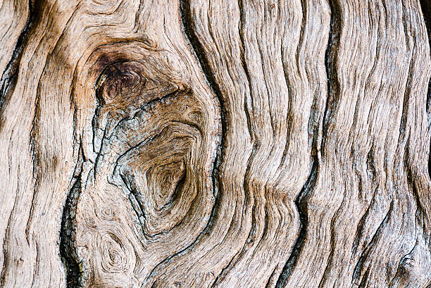 istock Texture of old wood 493711331