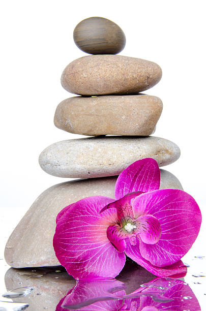 istock Composition of stacked pebbles with a purple flower 493711757