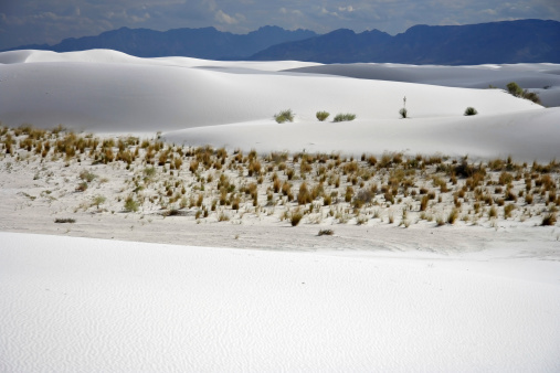 Desert Landscape in White Sands National Monument, New Mexico