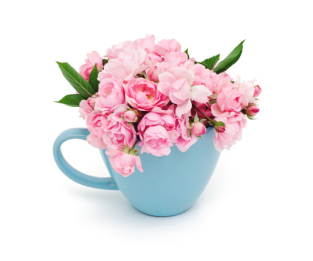 blue cup full of small pink roses over white