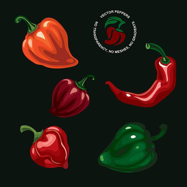 peppers vector art illustration