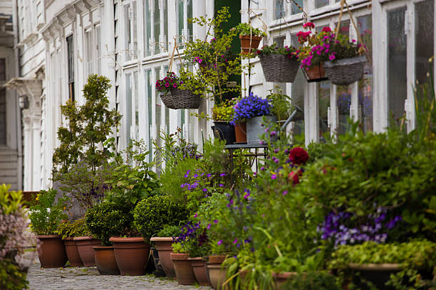 istock streets of Bergen 493719694