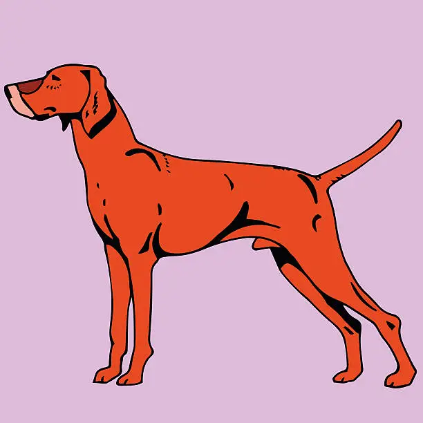 Vector illustration of Shepherd Dog