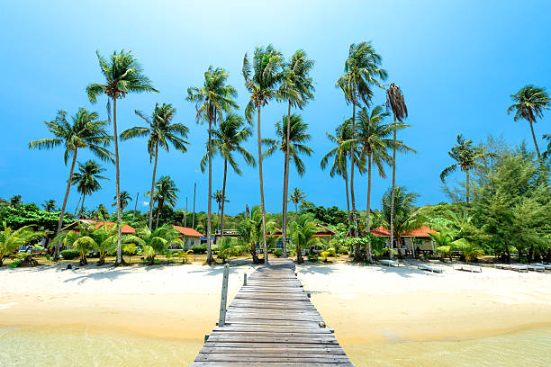 istock Wooden bridge for entry to the island 493720258