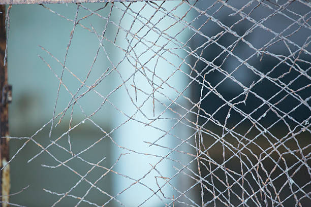 istock Details from Alcatraz prison island. 493721968