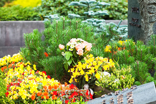 Picket fence surrounded by flowers in a front yard on summer.