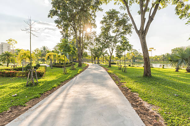 istock Jogging track in the green park 493722852