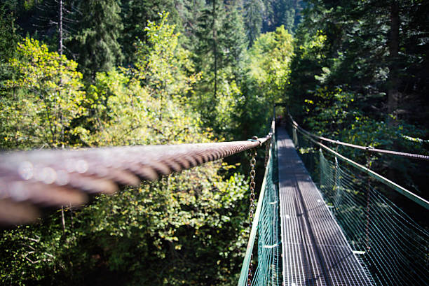 istock Lanova Lavka bridge at Slovensky Raj 493725364
