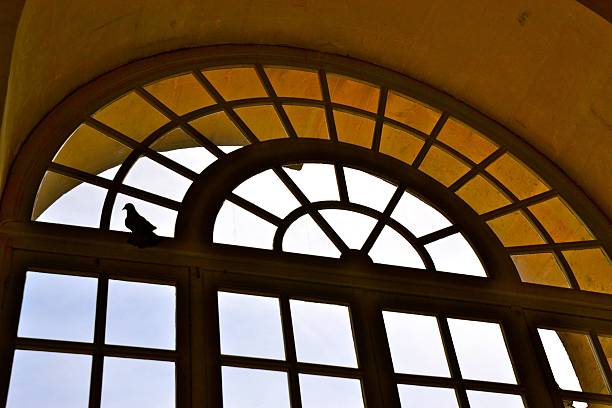 finestra e un uccello - looking through window individuality old architecture foto e immagini stock