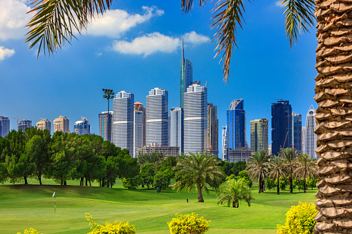 A Golf course in Dubai in the United Arab Emirates. In the background, the area known as Jumeirah Lake Towers - a neighbourhood of luxury apartments, Office Towers and hotels. The photo is a picture of classy living that is modern day Arabia. Part of a date palm with it's almost sculpted trunk, has been been brought into the photograph to complete the composition. Some Buildings are under construction. There is bright sunlight on the towers; but the Golf course is under more cloudy and subdued light. Photo shot in the morning sunlight. Horizontal format; copy space. No people.