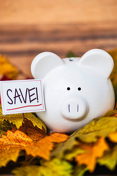 istock Fall Savings. Piggy bank amongst fall leaves with copyspace 493735922