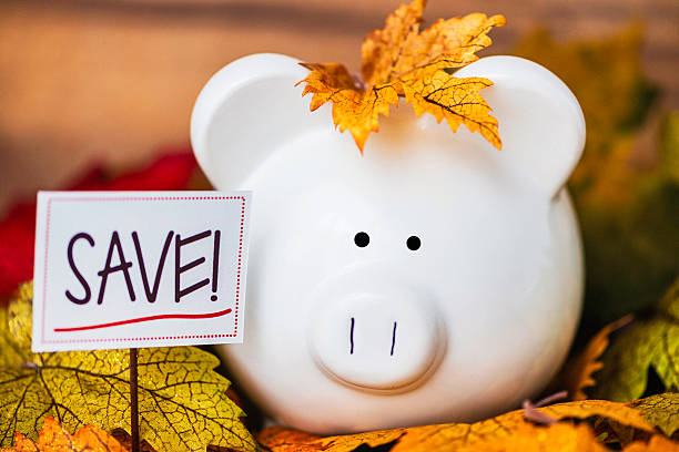 istock Fall Savings. Piggy bank amongst fall leaves with copyspace 493735954