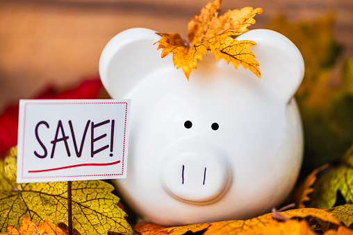 Fall Savings. Piggy bank amongst fall leaves with copyspace