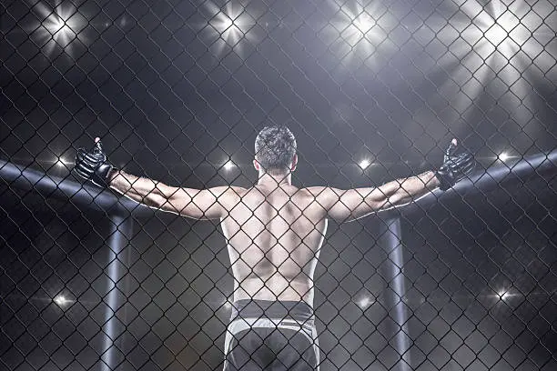 Mma fighter in cage celebrating win, view from behind