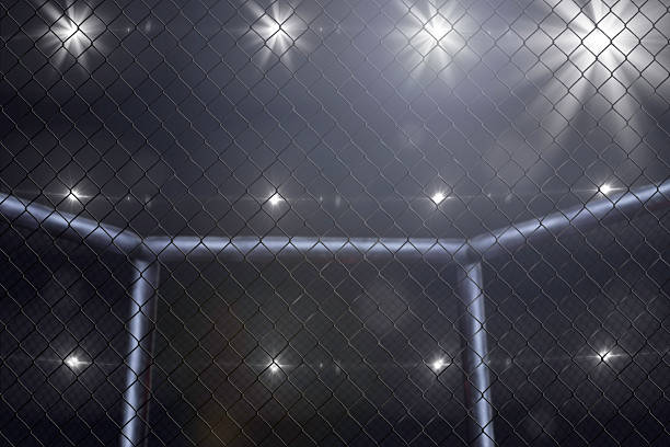 mma fighting stage side view under lights empty mma arena side view under lights  mixed martial arts photos stock pictures, royalty-free photos & images