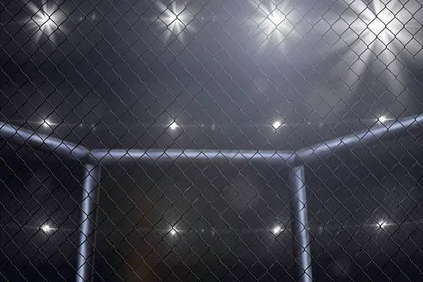 empty mma arena side view under lights 