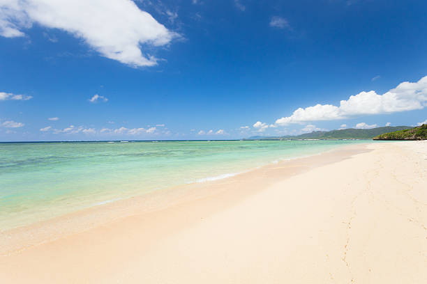 istock Beach (Ishigaki Yonehara Coast in Japan 493738586