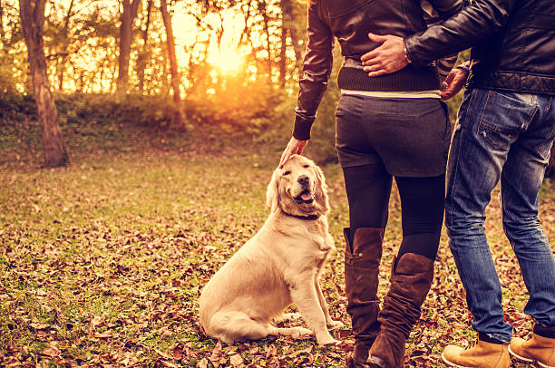 istock Couple with dog outdoors 493739702