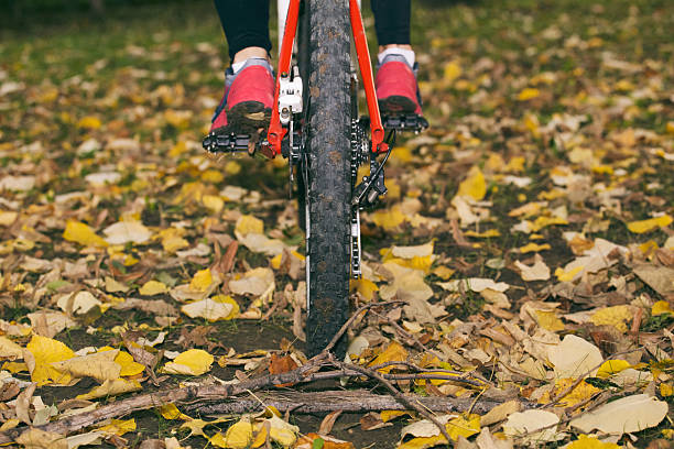 balade en vélo dans l'automne. - crossprocesed photos et images de collection