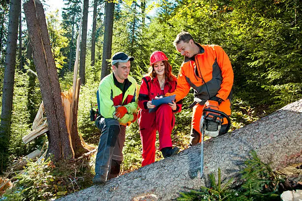 Two lumberjack with chainsaw and young woman in work clothes discuss about forest calamity. She has wearing red work clothes and a helmetand holdes notepad. Lumberjack has protective clothes. Shallow DOF. Shooting with the Canon EOS 5D Mark II.
