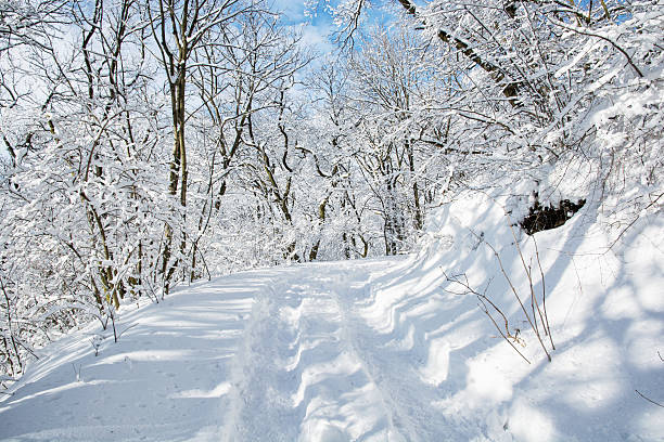 istock Tourist footpath in snowy winter landscape 493744118
