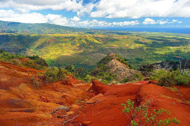 istock Stunning view into Waimea Canyon, Kauai 493744258