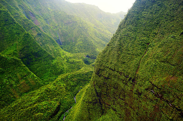 istock Mount Waialeale, Kauai, Hawaii 493744916