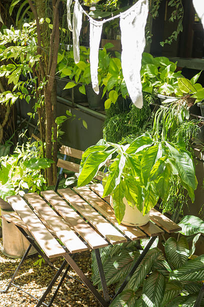 istock Variety green plant in home garden 493748080