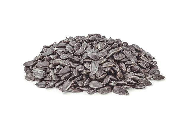 istock Sunflower seeds pile against white background 493758362