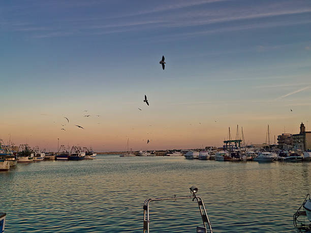 Fishing harbor of Mola di Bari in Puglia along adriatic coast at sunset lights autumnal with seagulls flying .