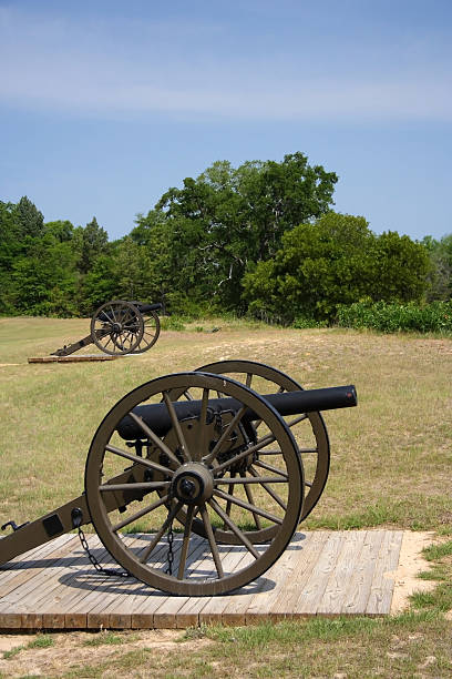 istock Andersonville Artillery 493761223