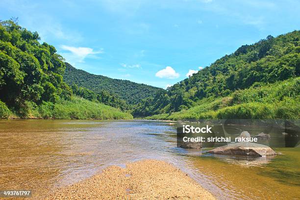 River In Deep Forest Stock Photo - Download Image Now - Flowing, Forest, Hanging