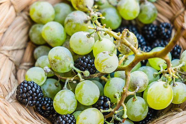 Grapes and blackberries stock photo