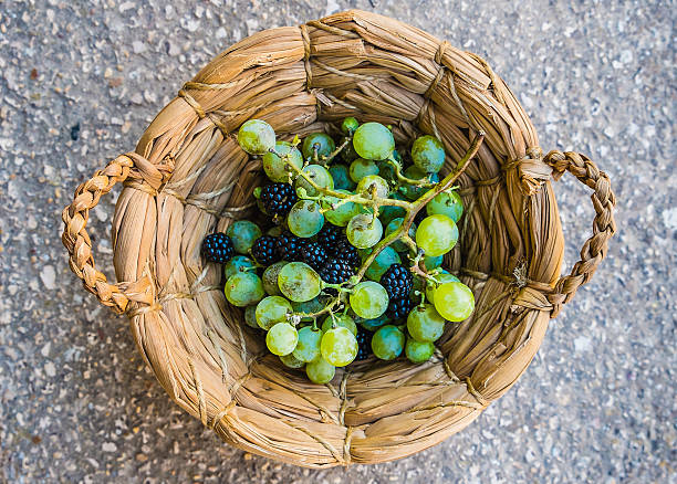 Grapes and blackberries stock photo