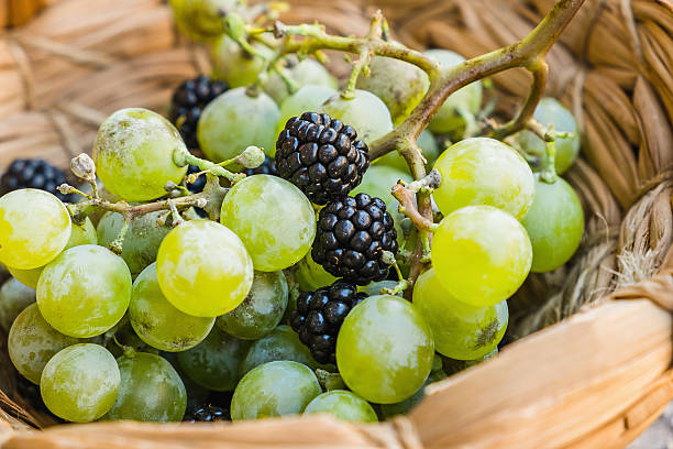 Grapes and blackberries stock photo