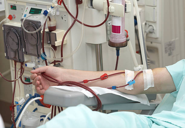 dialysis health care medicine kidney patient helped during dialysis session in hospitalpatient helped during dialysis session in hospitalpatient helped during dialysis session in hospitalpatient helped during dialysis session in hospital dialysis photos stock pictures, royalty-free photos & images