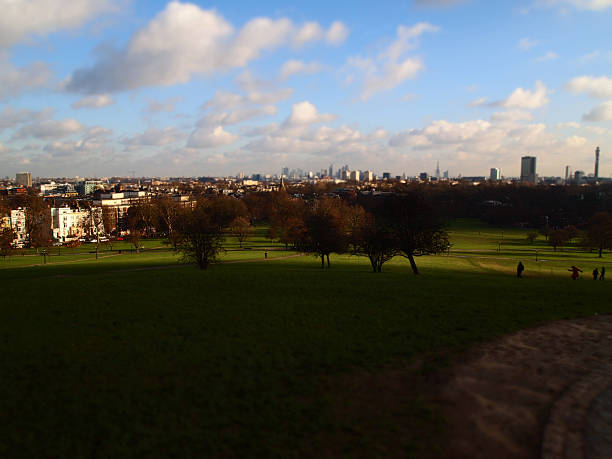 istock Top of Primrose Hill in the evening 493762976