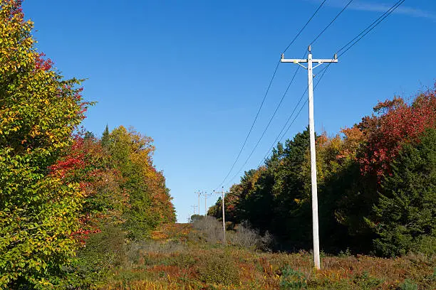 Photo of Rural power lines