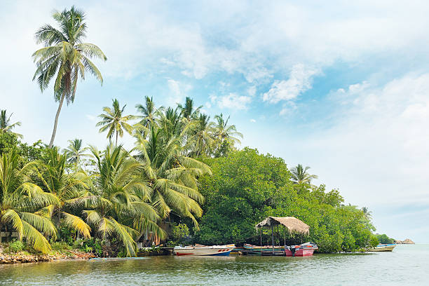 istock Equatorial forest and boats on the lake 493764634
