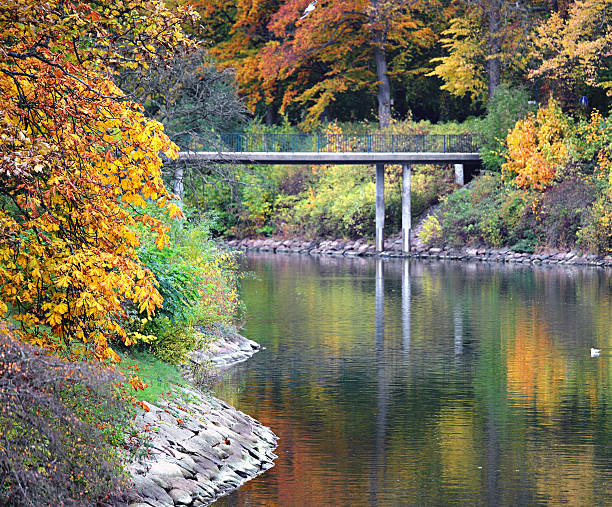 istock Autumn trees and water with bridge 493765078