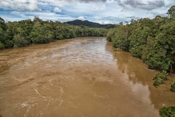 istock Barron River in Flood, Queensland, Australia 493765473