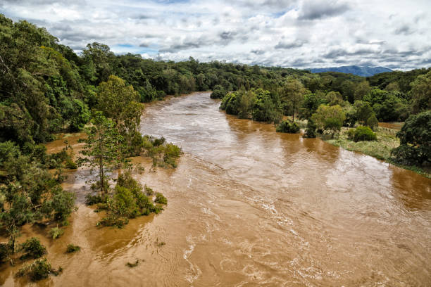 istock Barron River in Flood, Queensland, Australia 493765477